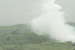 �X�Q���n����������