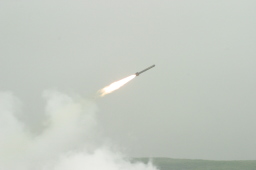 �X�Q���n����������